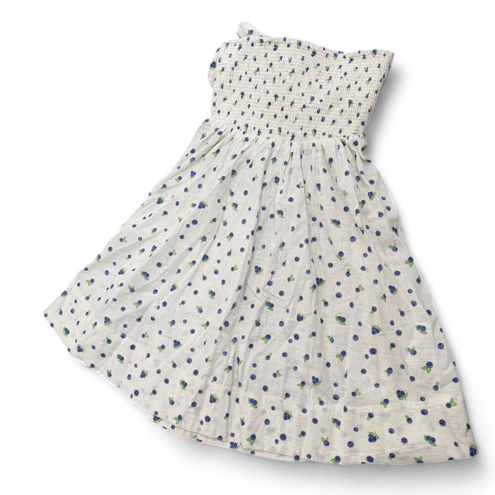 Girly Coquette Gauzy Cotton Blueberry Fruit Print Mini Dress
